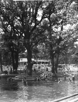 A nagyerdei strand melegvizes medencéje fákkal és fürdőzőkkel 1946 körül Benkő László