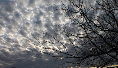 Február a Nagyerdőn Február a Nagyerdőn