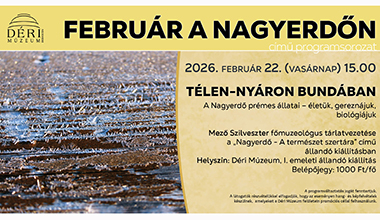 FEBRUÁR A NAGYERDŐN 4 rész