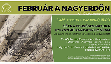 FEBRUÁR A NAGYERDŐN 1. rész Déri Múzeum